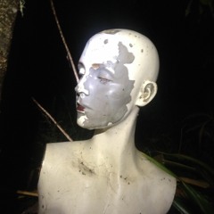 Planet of Flying Dreamz