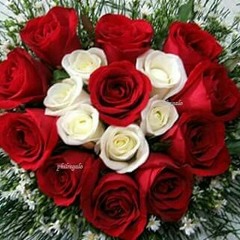 Rawda Tarek