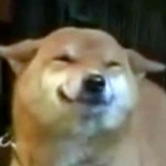 даша молоко