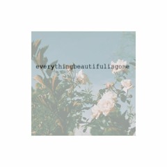 everythingbeautifulisgone