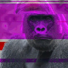 Kid gorilla