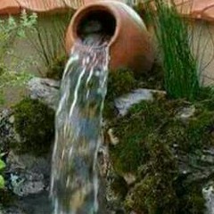 نقاء القلب