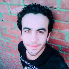 kareem hossam