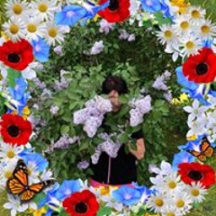 Virve Lovisa Lundström