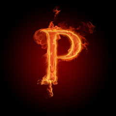 PLEK