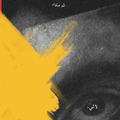 Mohamed Abdelfattah 3