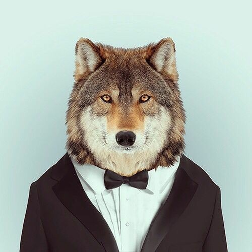Gristlywolf’s avatar