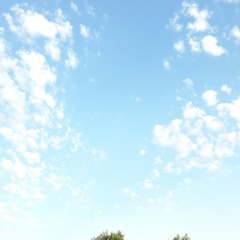 Холбой Авулов