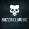 Buzz Kill Music Productions