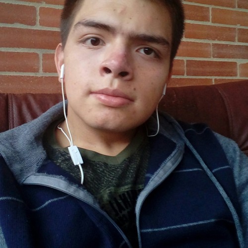 Luis Fernando Cifuentes’s avatar