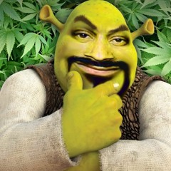 Lil Shrek Jr