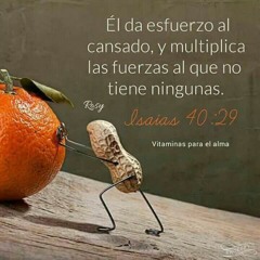 Damaris