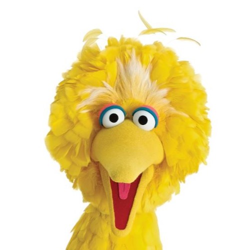 DJ Big Bird’s avatar