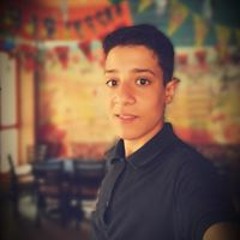 محمود مدكور