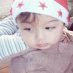 zeinab jooga
