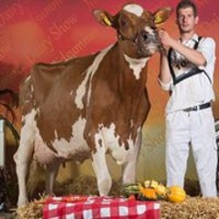 Bart van Mil