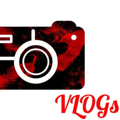 Vibez VLogs