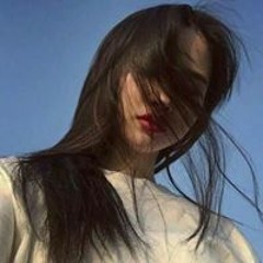 금비장