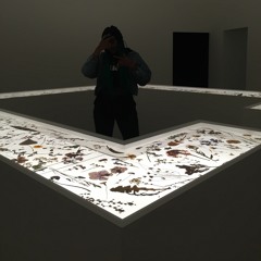 ♡PRINNY☓MAARS♡