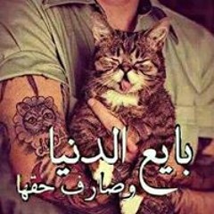 Pop Egy