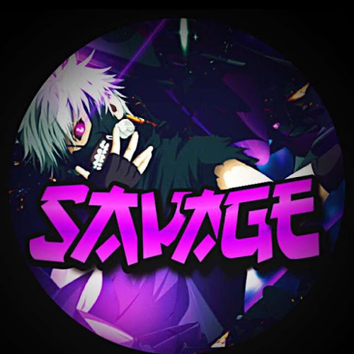 vSavage 13’s avatar