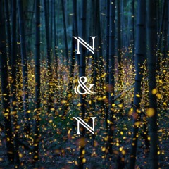 N&N