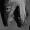 Some guy with a dead fish in the pfp