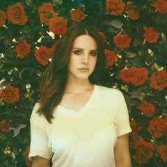 rosebaby