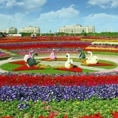 فاطمه مهلبان