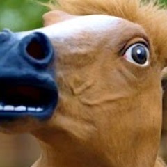 Paralized Pony