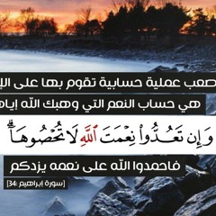 Reham Raed