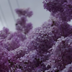 ♥神話のプリンセスリリ♥