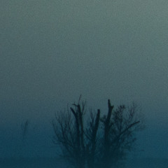 lunaris