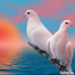 همسة عتاب