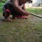 agus setiawan