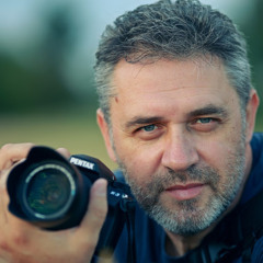 Dan Matache