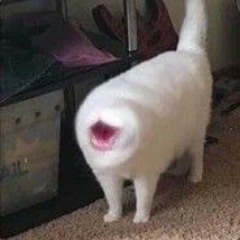 v̶͞o̴͟͠i͘͡͏̨d͡҉̕͟͜ ̴̛͜c̡a͘͜t̸͏̶̀