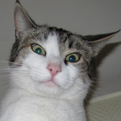 Coni