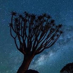 اشرف