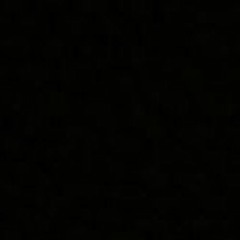 Alfredo Ramos Bermudez