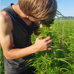 Aaron.nl