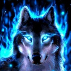 FOX SNAKER