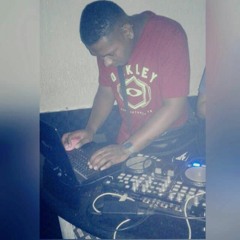 ♫ DJ ✪2BÊ DA BARÃO✪ ( SEU DOIDÃO)♫
