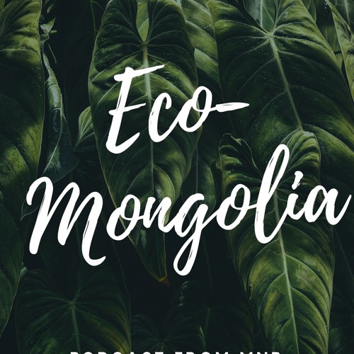 Eco Mongolia podcast’s avatar
