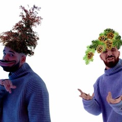 kaktus mit roten kopf Ferocactus gracilis | Kaktus mit roten Stacheln