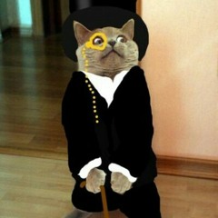 Кот Васька