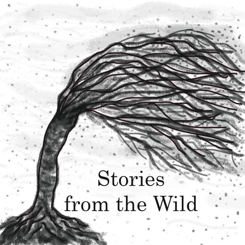 Stories from the Wild’s avatar