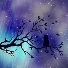 F_Zahra_A 04