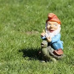 Wallet Sized Wildfire