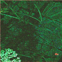 DOTxODOM (official) 📛